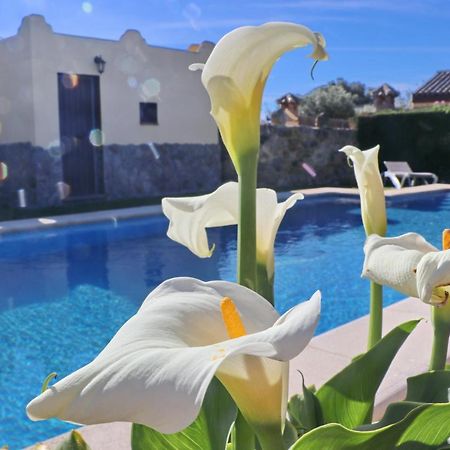 Chalet Bella Mendoza Conil De La Frontera Bagian luar foto
