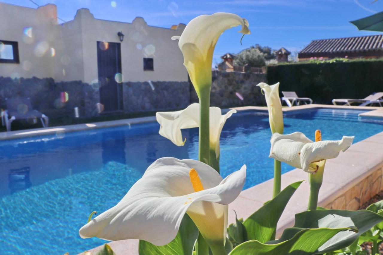 Chalet Bella Mendoza Conil De La Frontera Bagian luar foto